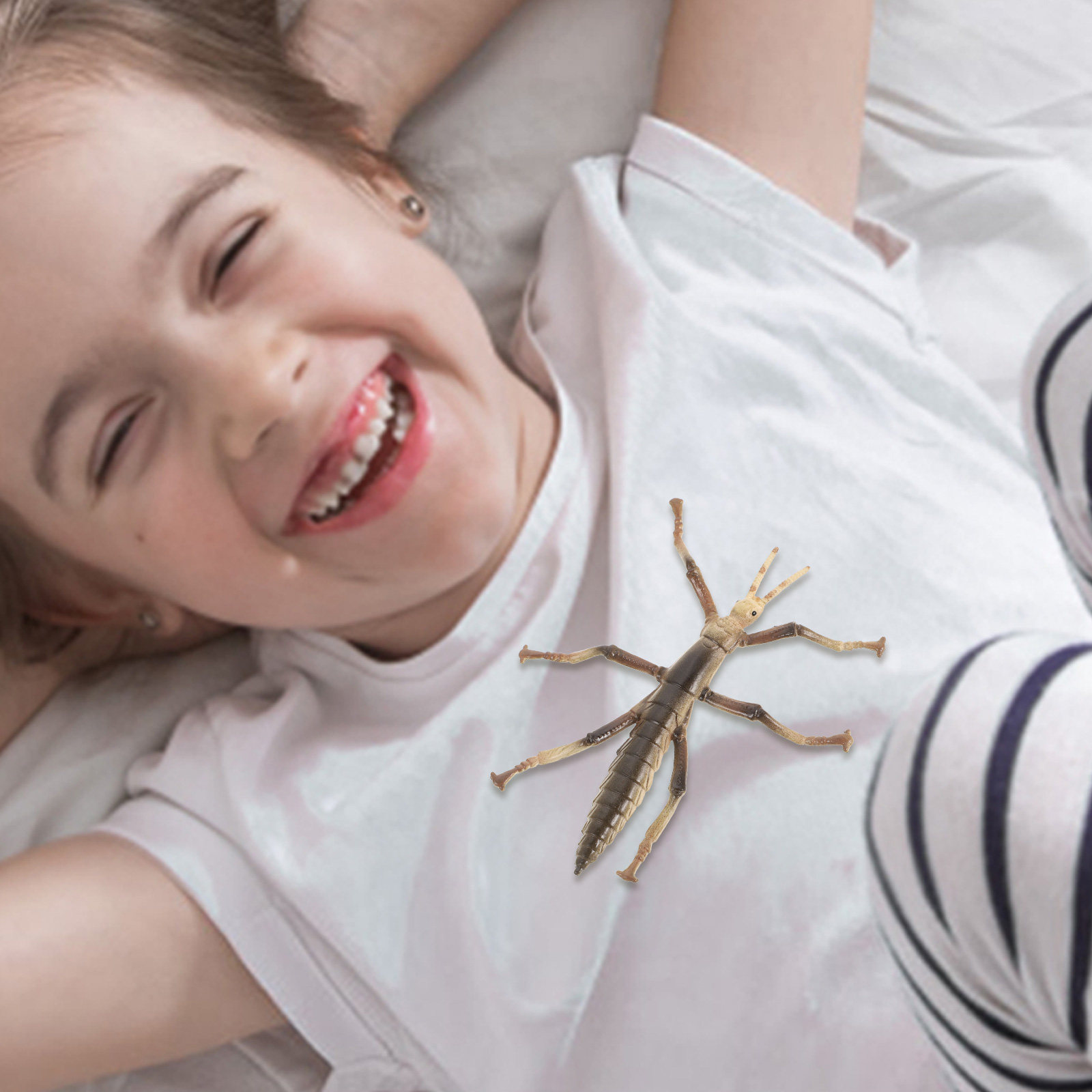 Sturdy Plastic Stick Insect fo - Kids Education Activities 评论和价格